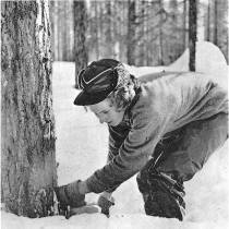 Rut arbetade som skogshuggare redan som ung tjej.